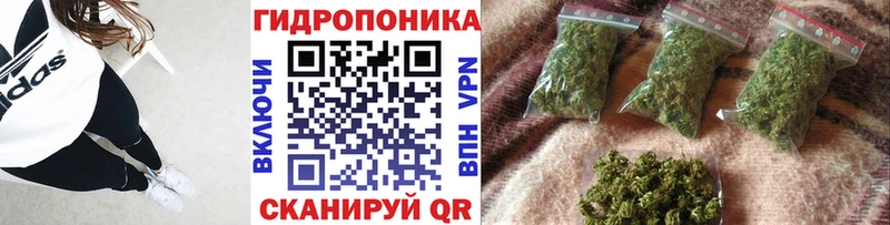 МАРИХУАНА OG Kush  Шенкурск 